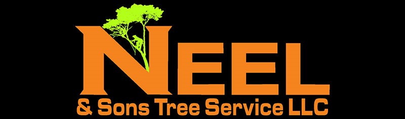 Neel and Sons Tree Service South Georgia